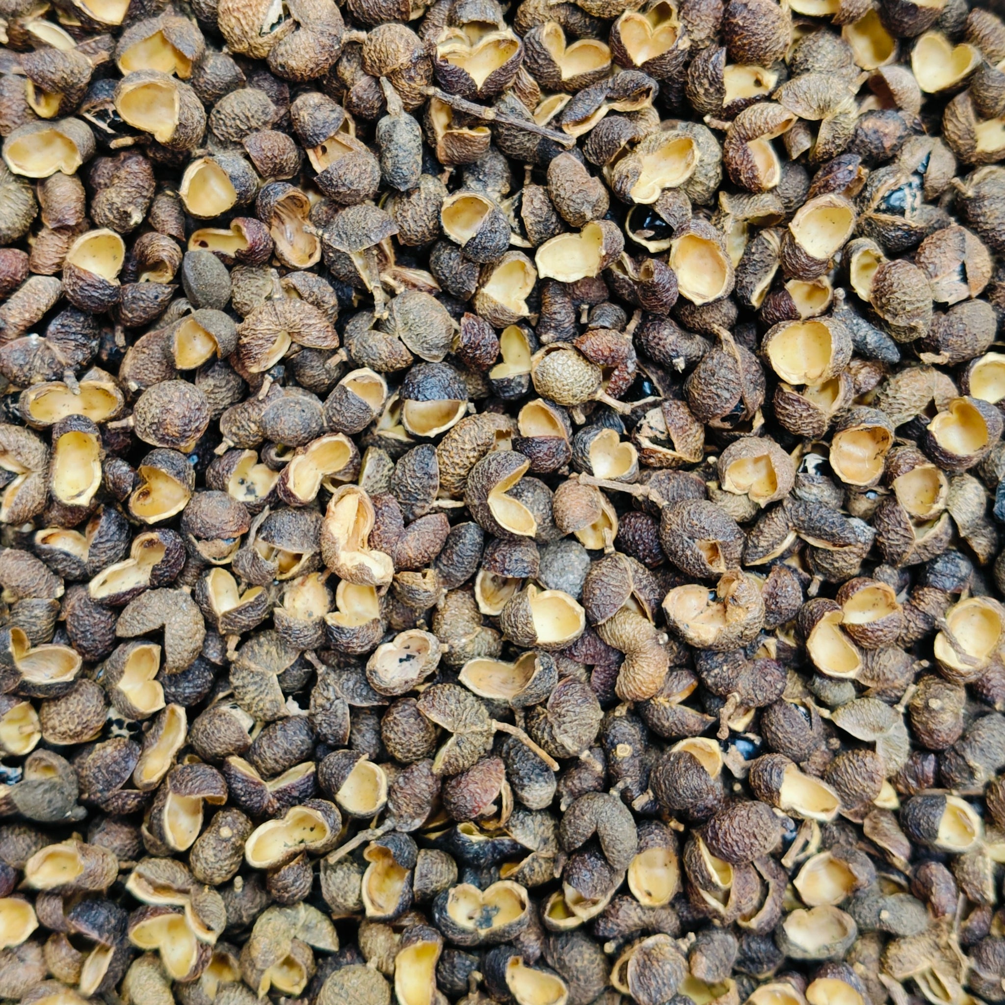 TRIPHALA