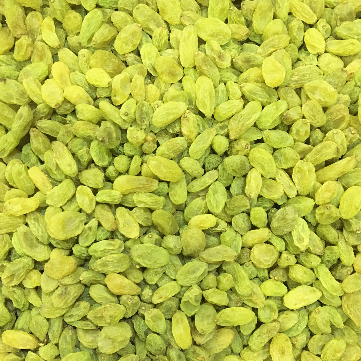 AFGHAN RAISINS / KISHMISH M – DAKSHA DRY FRUITS