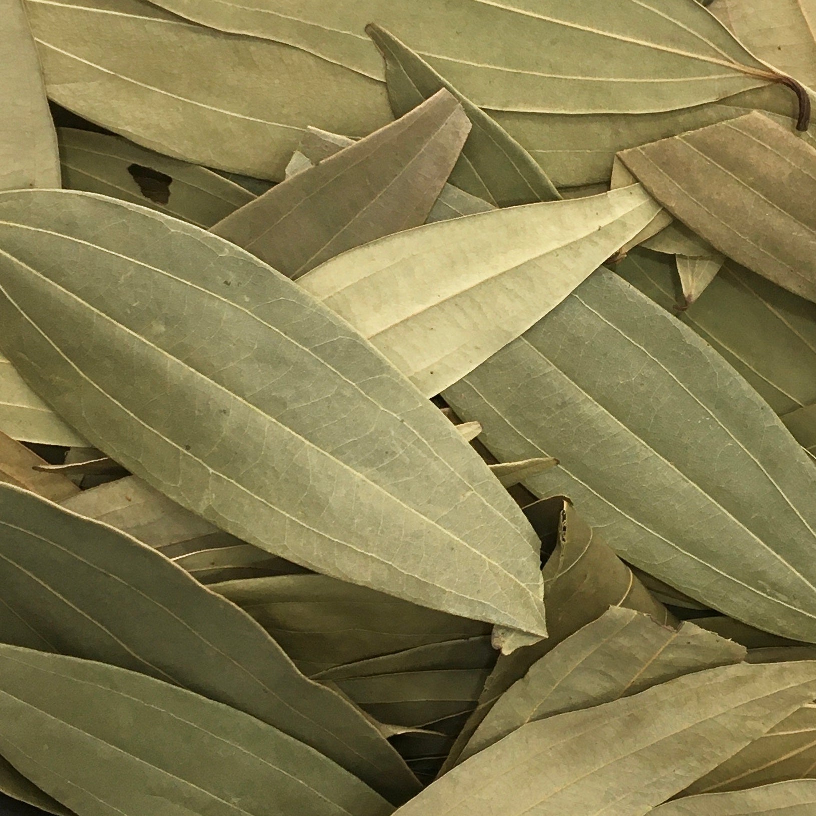 BAY LEAF (TEJ PATTA)