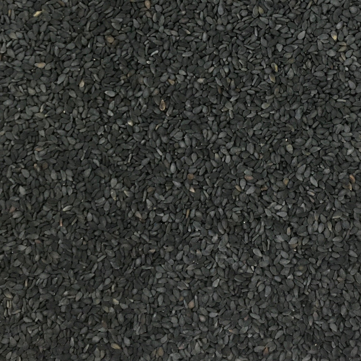 SESAME SEEDS (BLACK TIL)