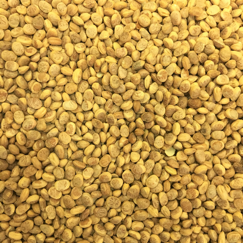 CHIRONJI (CHAROLI) SEEDS