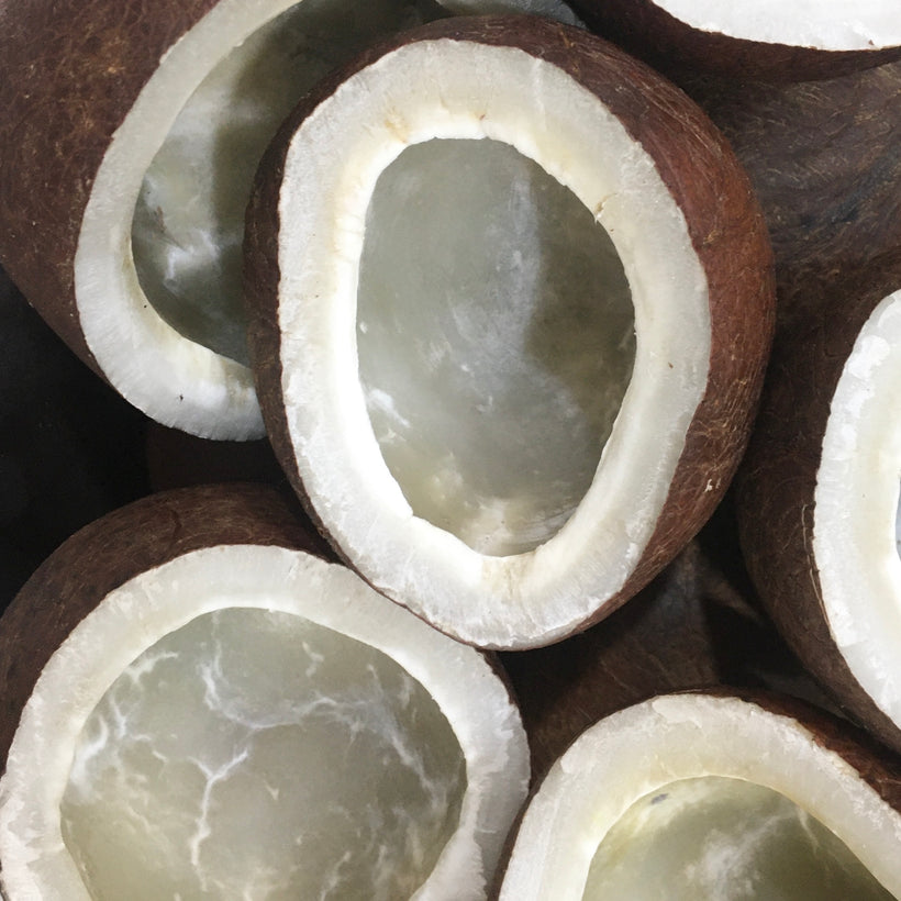 COCONUT (COPRA)