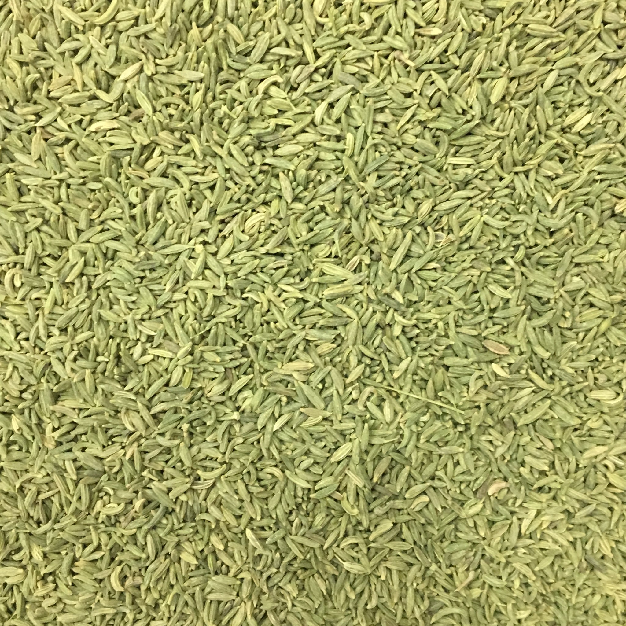 LAKHNAVI SAUNF (VARIYALI)