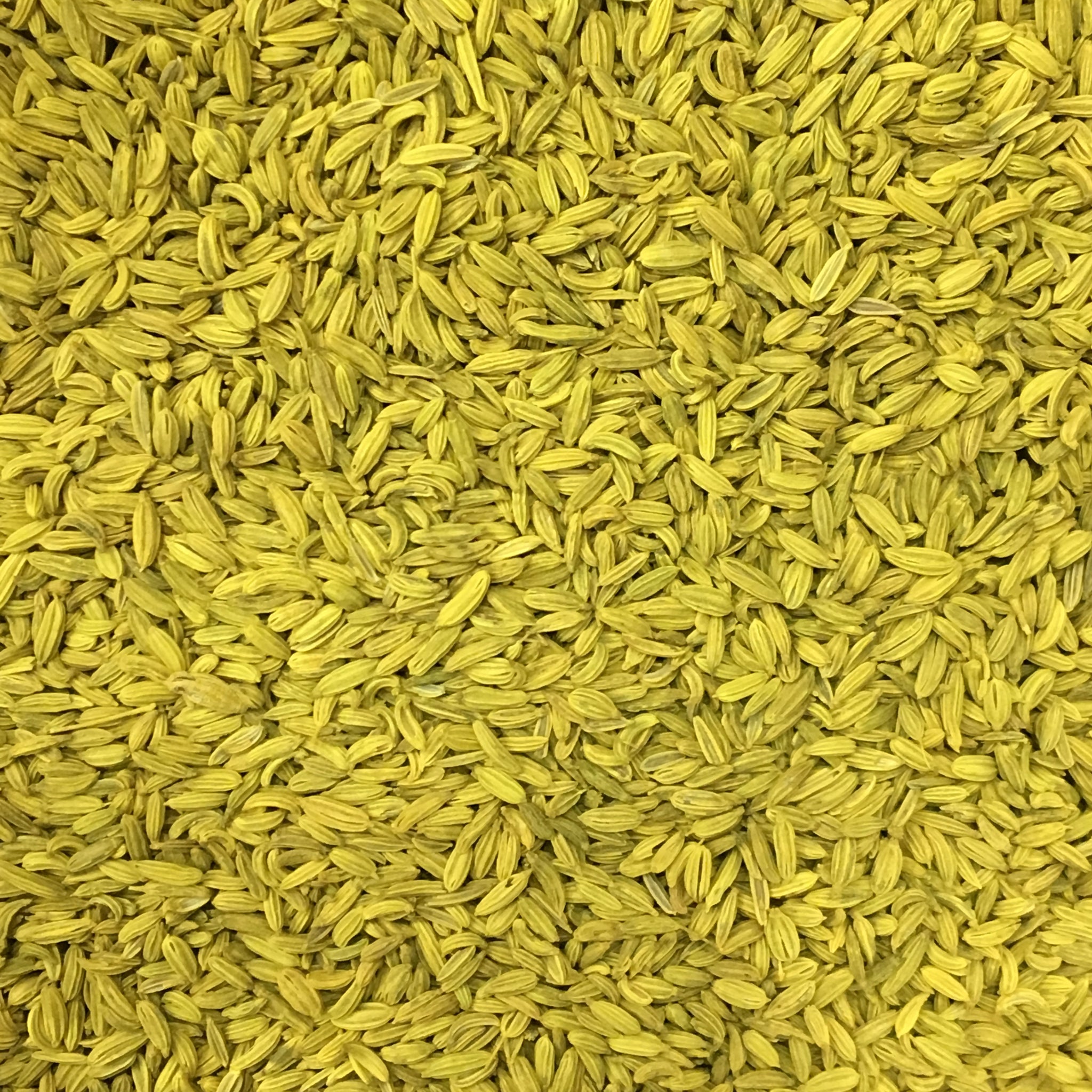 ROASTED SAUNF (VARIYALI)