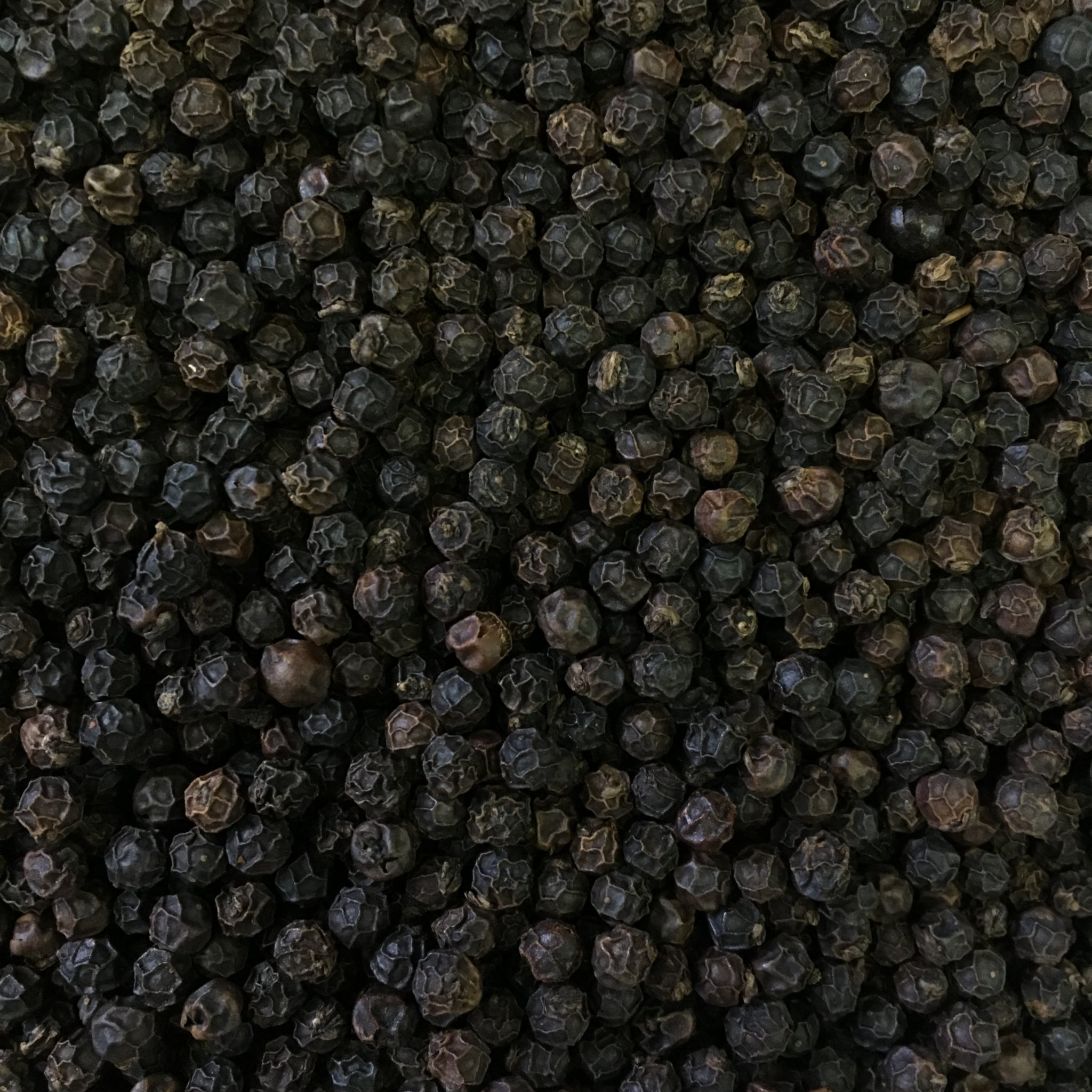BLACK PEPPER