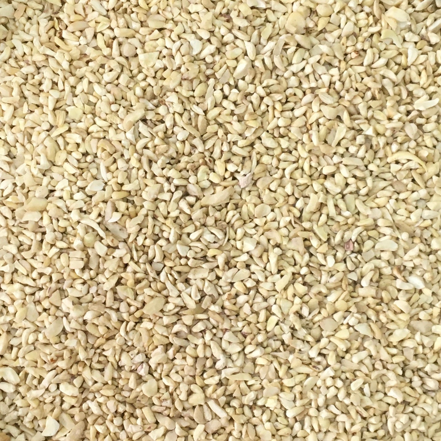 CASHEW / KAJU KANI