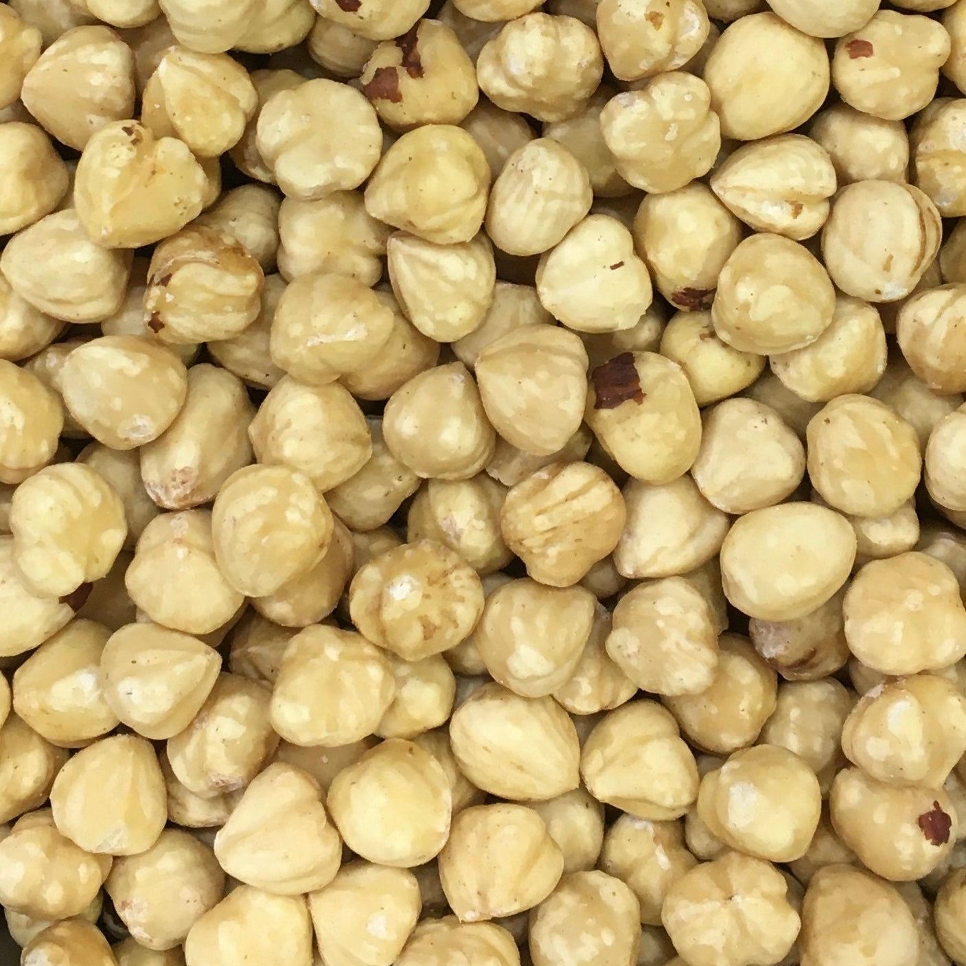 HAZEL NUTS
