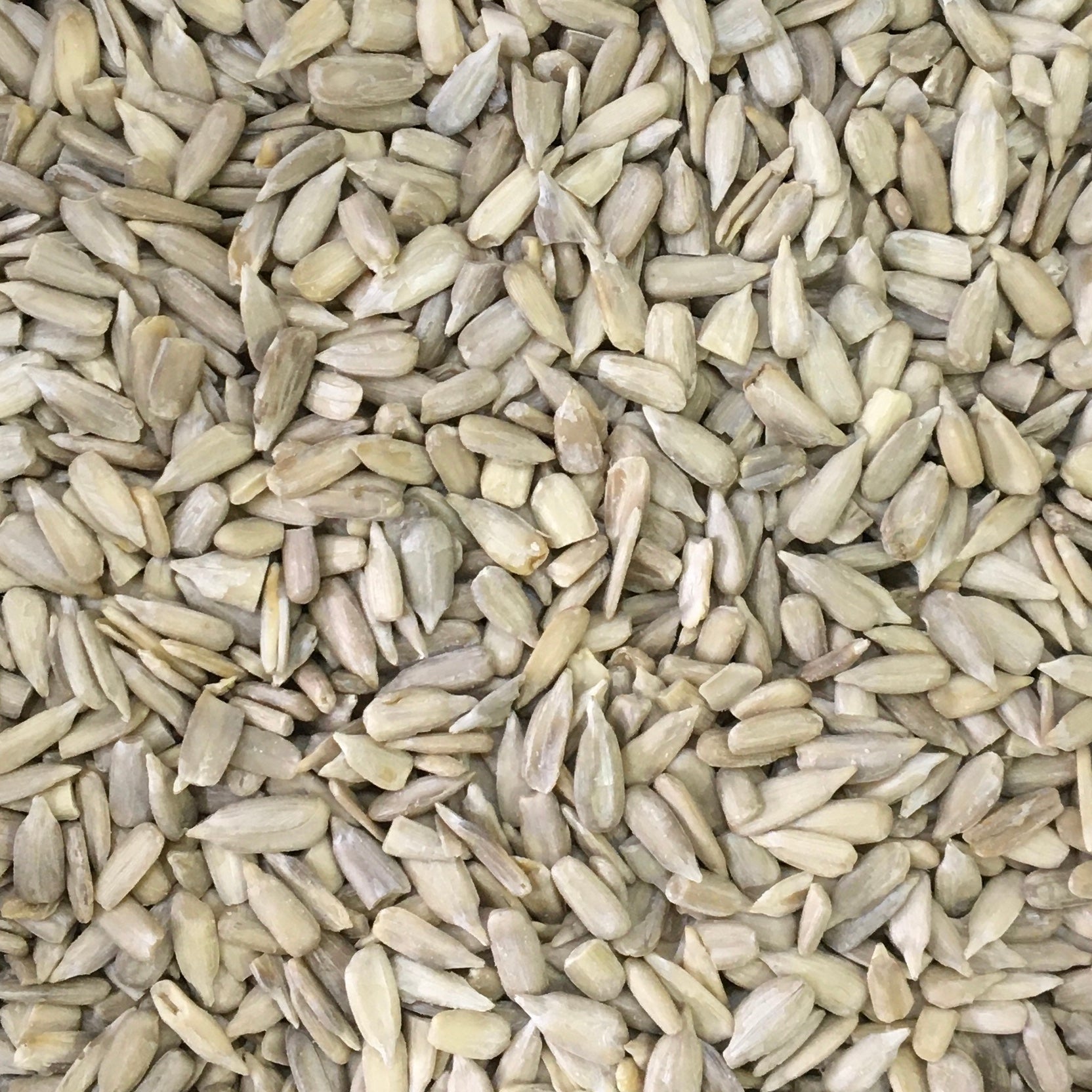 SUNFLOWER SEEDS
