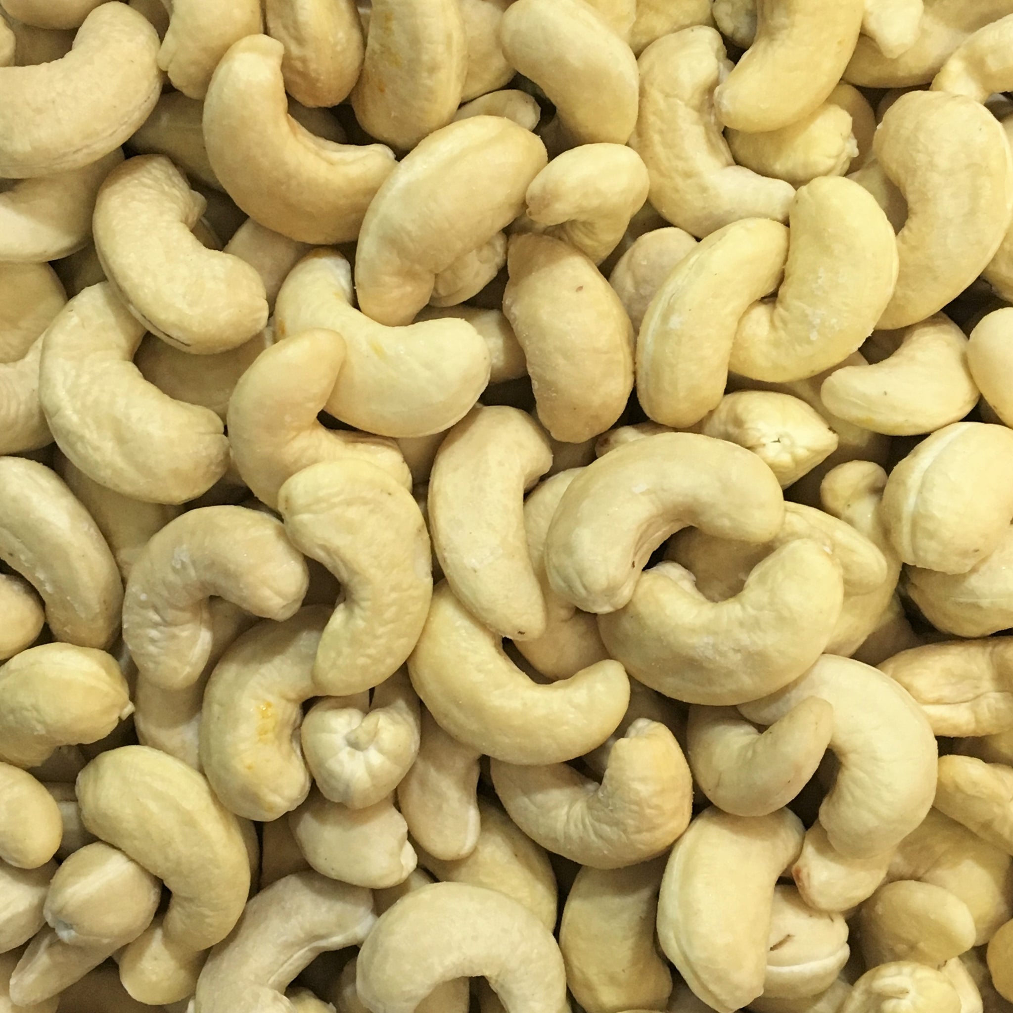 SALTED CASHEW / KAJU