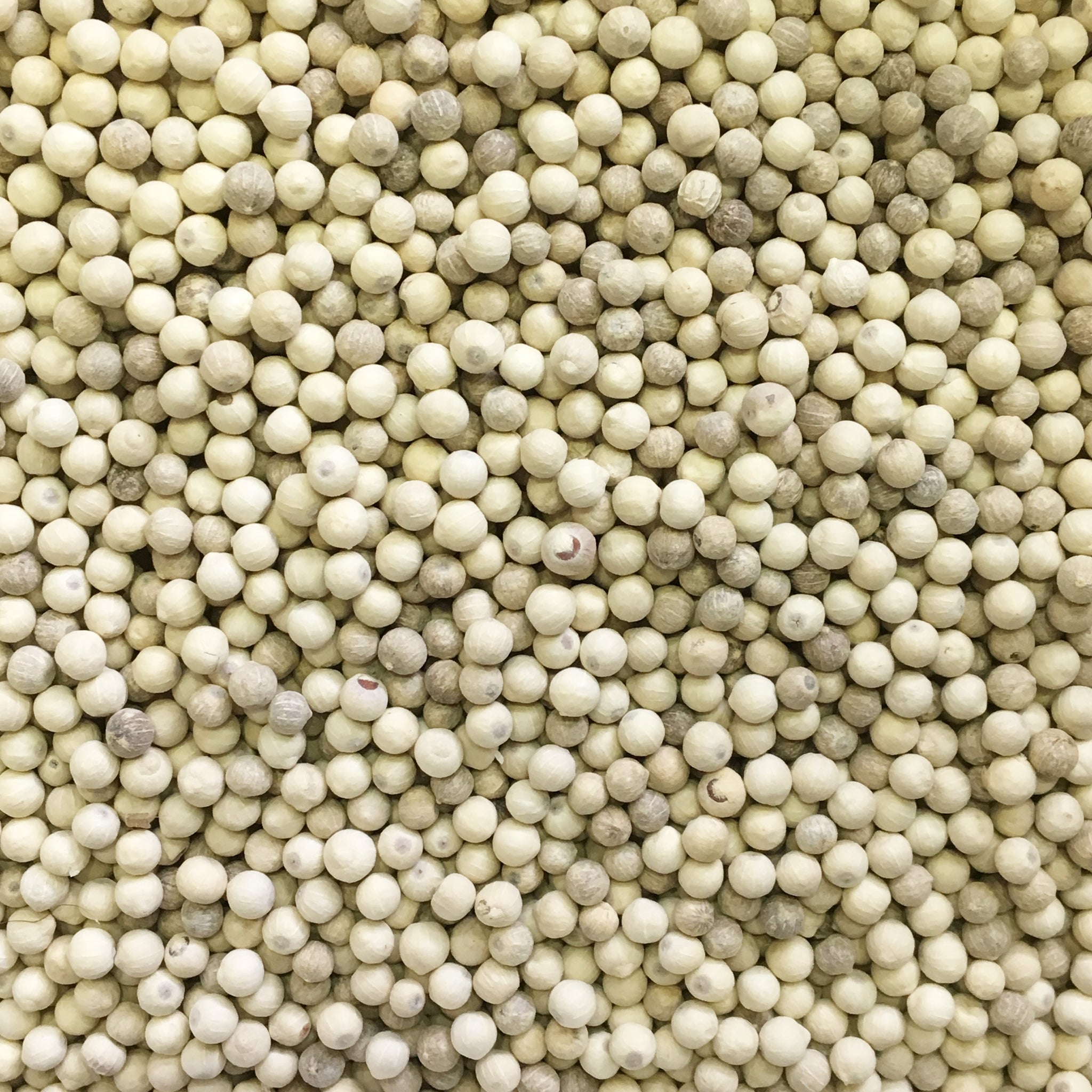 WHITE PEPPER